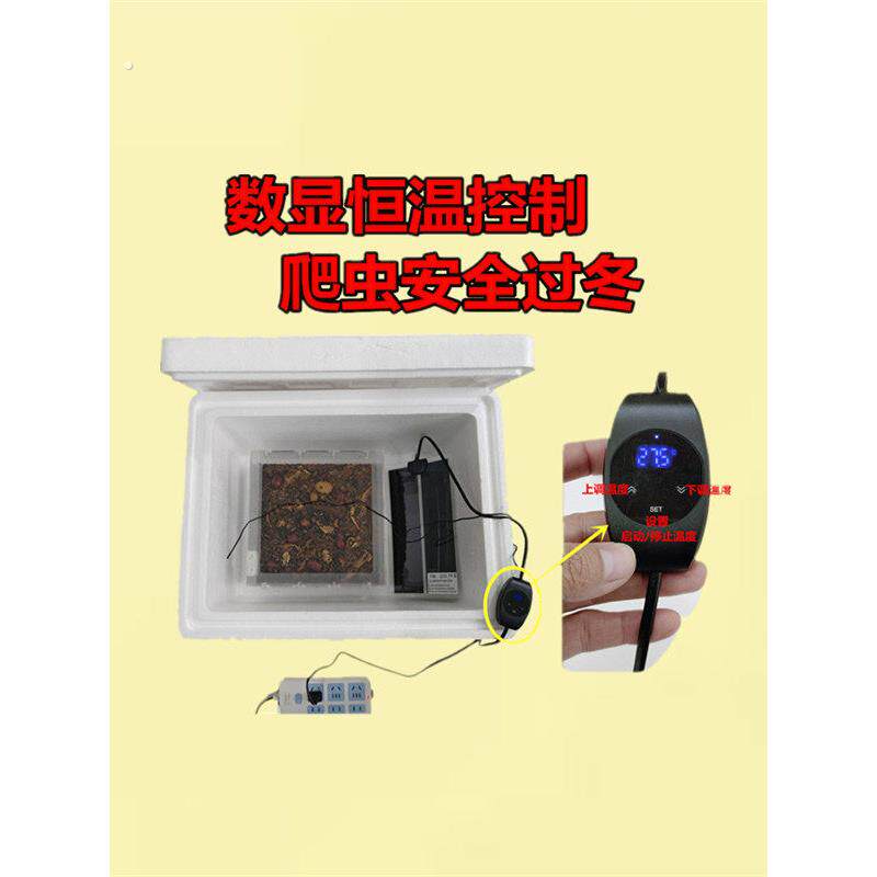 九龙虫饲养盒养殖箱繁殖盒加热保温幼虫粪便分离器饲养配方亚克力