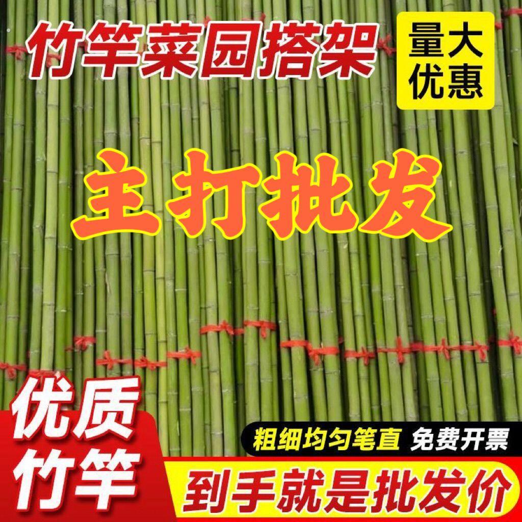 竹竿菜园搭架户外爬藤菜豆角黄瓜旗杆竹杆篱笆架子支架竹子