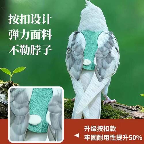 小太阳牵引绳抱婴袋式鹦鹉牵引绳放飞绳抱婴袋式新款鹦鹉虎皮玄凤