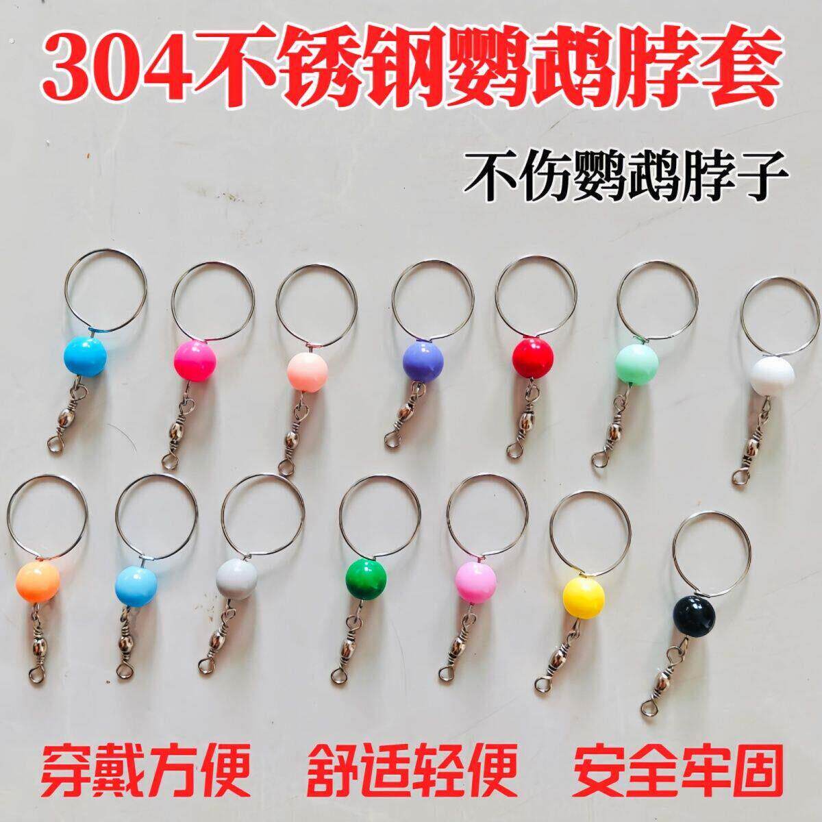 鹦鹉脖套不锈钢玄凤牡丹虎皮栓鸟链遛鸟放飞训练脖圈带链子咬不烂