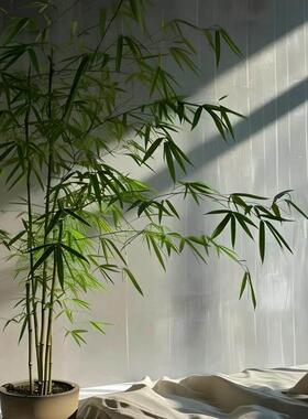 古风新中式竹林造景户外庭院展示民宿走廊装饰仿真竹子装饰假竹子