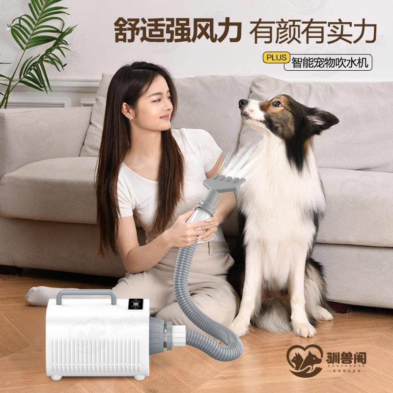 宠物吹水机家用智能吹风猫咪狗狗专用烘干机大型犬专洗澡吹毛神器