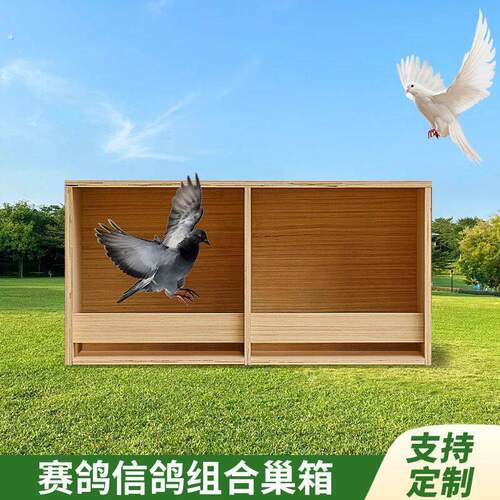赛鸽专用新品鸽子巢箱户外养殖配对笼木制拼装阳台信鸽窝
