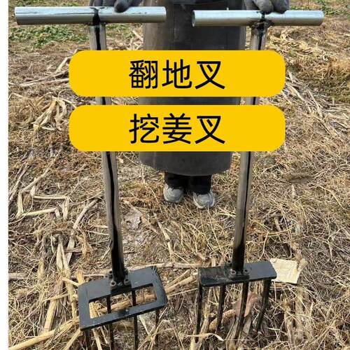 新款农用四股叉子挖姜大蒜葱翻地开荒实心锻打纯全钢四齿翻土神器