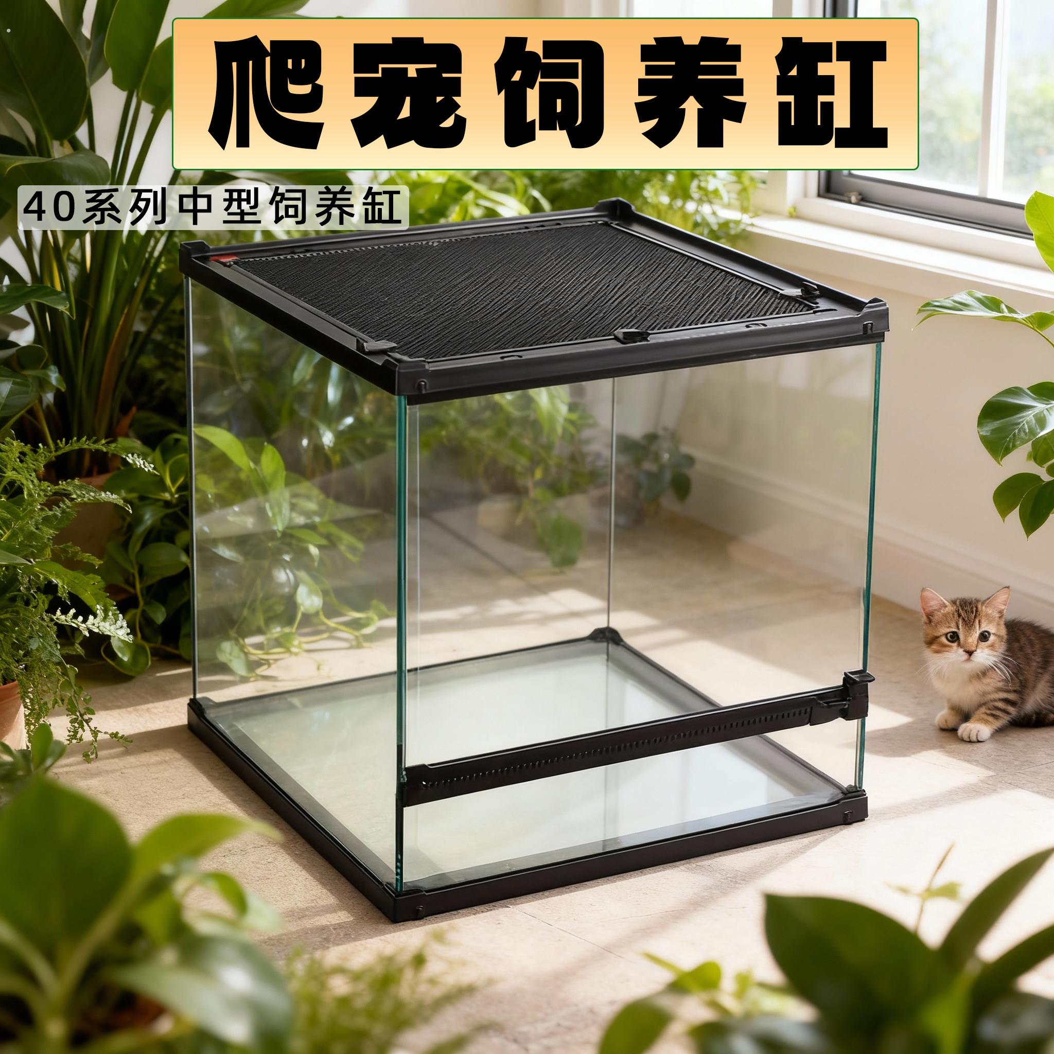 爬宠饲养缸玻璃缸睫角蜥蜴树蛙蛇鬃狮爬虫饲养箱大型生态雨林缸