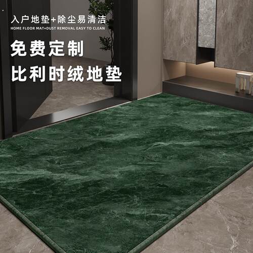 轻奢高级感入户门地垫玄关进门口耐脏防滑脚垫2025新款可地毯
