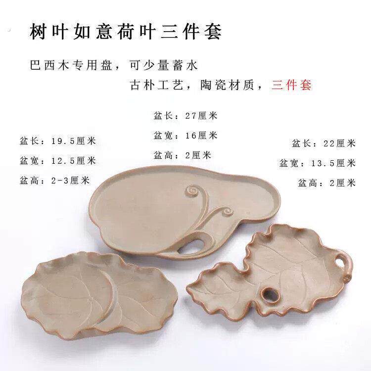 巴西木托盘专用底盆古朴工艺荷叶树叶多款绿植物无孔水培可蓄水
