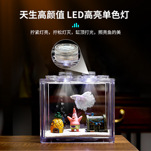 泰国斗鱼专用鱼缸小型鱼压克力网红创意桌面造景缸客厅家用积木盒