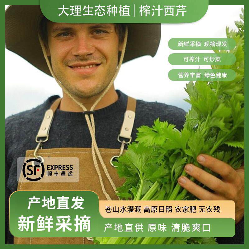 云南露天有机种植西芹榨汁生吃沙拉安疗榨汁蔬菜新鲜大理髲货顺丰