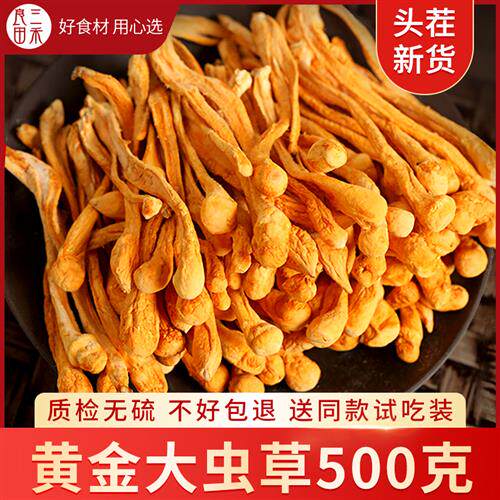 虫草花干货煲汤炖鸡汤新鲜官方经营店北虫草金虫草蛹虫草商用500g