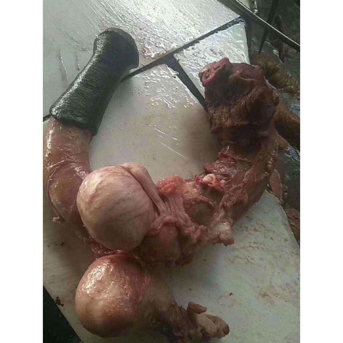 新鲜生驴鞭五香整套带蛋驴三宝熟食滋补现杀泡酒驴三件驴肉