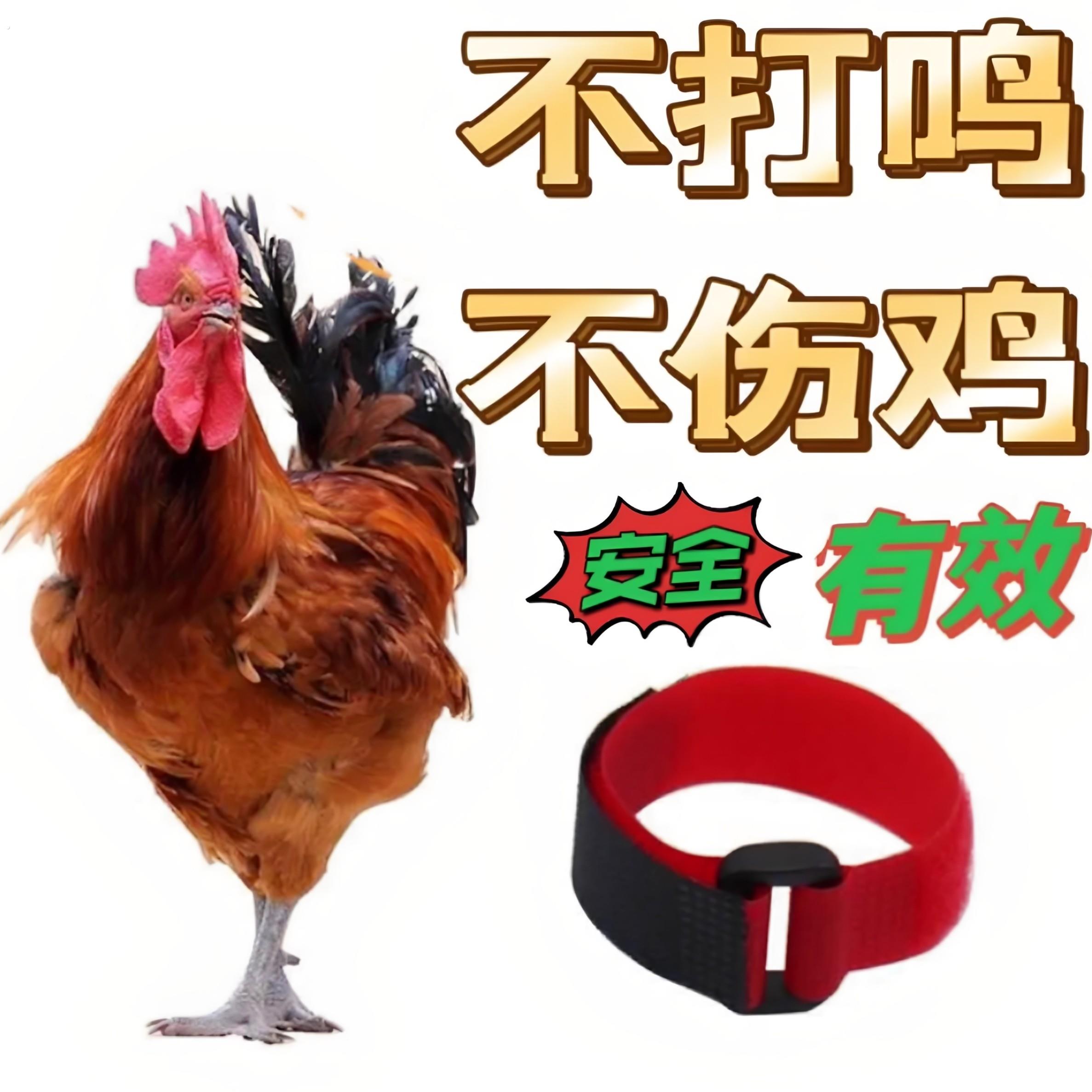 防止公鸡打鸣神器止鸣器项圈 防叫器防叫鸡打鸣项圈鸭 鹅公鸡噪音