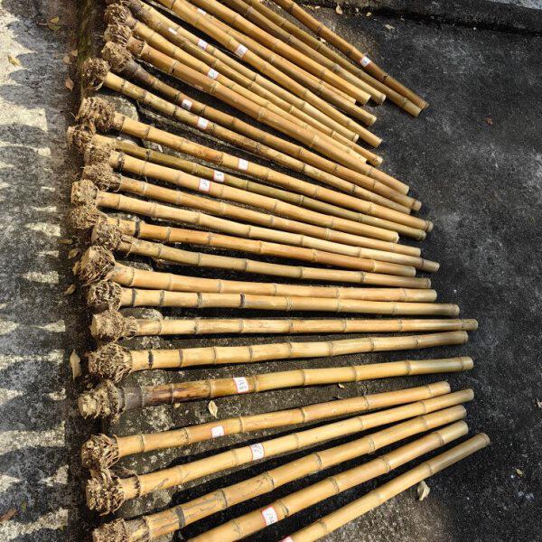 福建石竹箫笛材料编号挑选