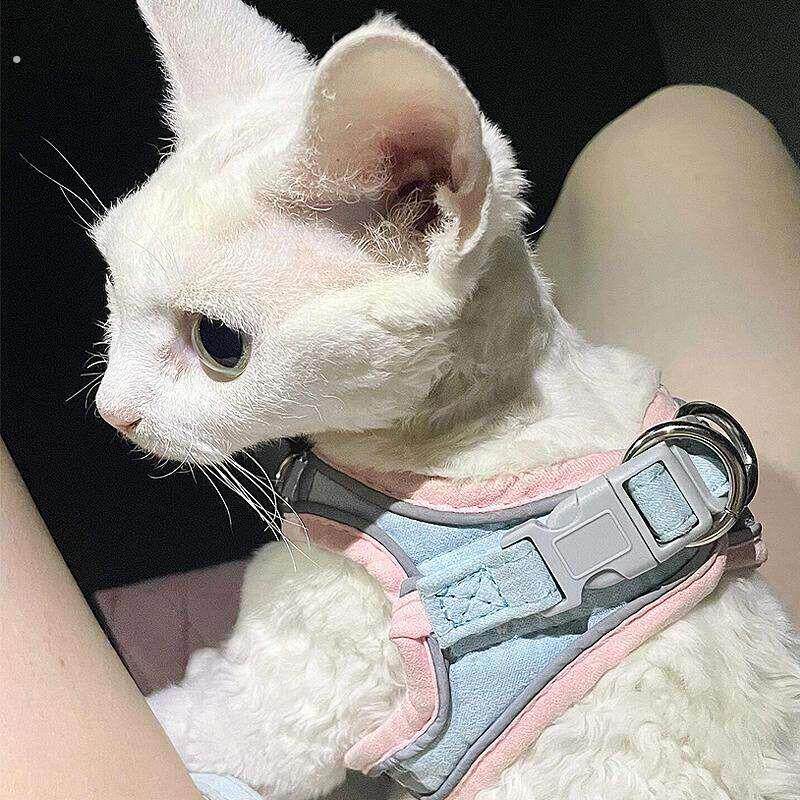 牵引绳猫咪衣服外出遛猫专用背心式胸抱婴袋宠物防挣脱神器小型犬