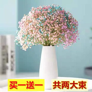 大束满天星乾燥花花束真花自然风乾鲜花带花瓶客厅卧室居家装饰摆