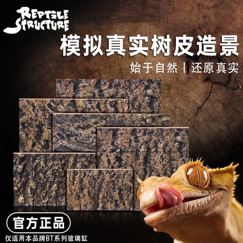 爬宠饲养箱背景板雨林生态造景装饰睫角守宫蜥蜴宠物蛇爬宠缸爬箱