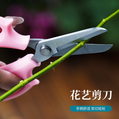 不锈钢树枝修枝剪采摘水果花木剪园林果树花卉枝嫁接园艺剪刀工具