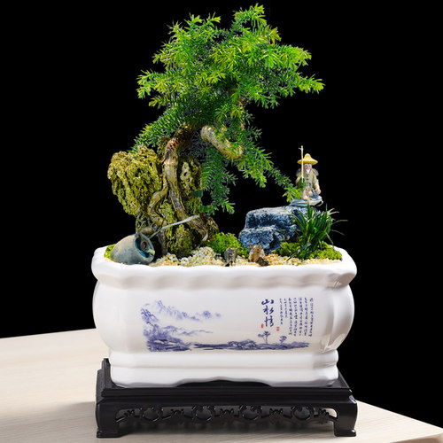 长方形陶瓷花盆个性创意简约家用室内阳台榕树君子兰兰花造景盆栽