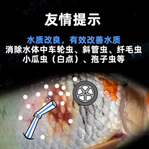 瓜虫白点水产养殖杀虫青蒿先得新灭2号鱼塘鱼池锦鲤小车轮净