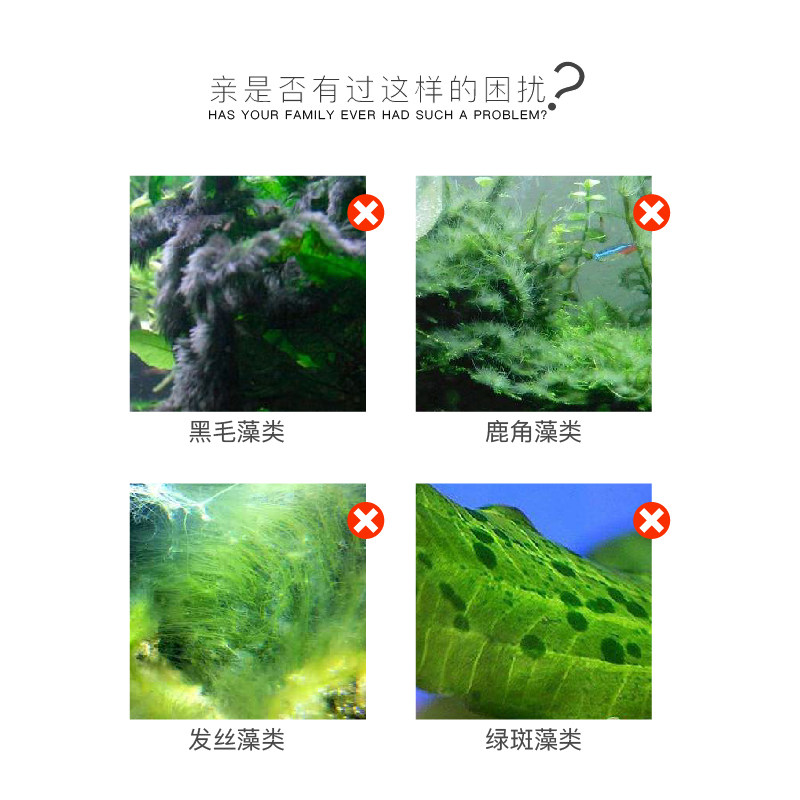 鱼缸池塘除藻剂不伤鱼5L锦鲤鱼池去藻剂除丝藻黑毛藻除绿水除苔素