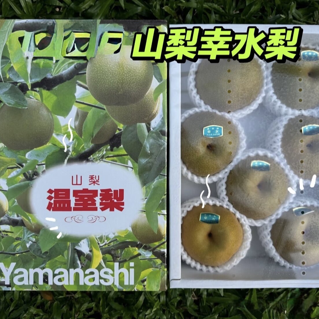 山梨温室幸水梨Kōsui Pear石和温室梨日本品种似国产水果送礼