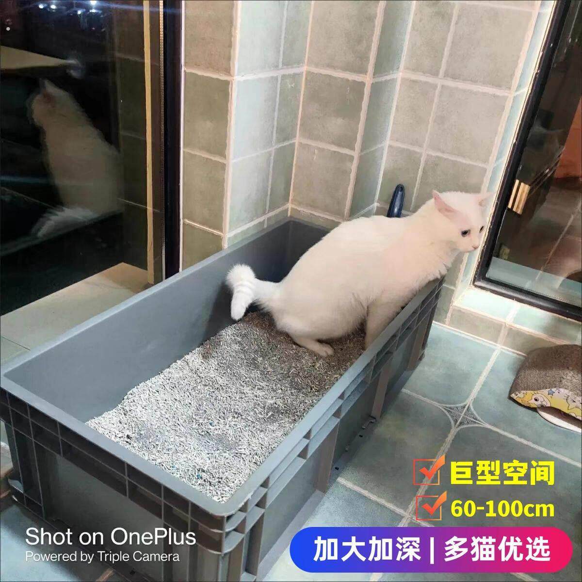 猫砂盆4-60斤小号特大号缅因猫巨大号集装箱超级大周转全巨型猫舍