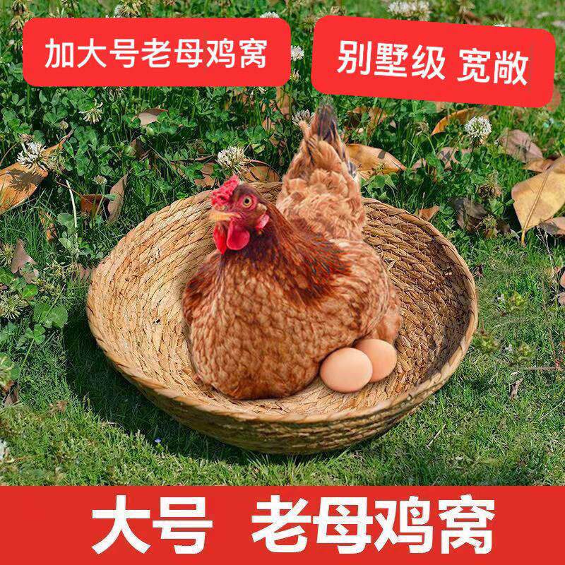 加大老母鸡窝草窝下蛋孵蛋鸽子荷兰猪宠物草编猫窝狗窝鸭鹅平底
