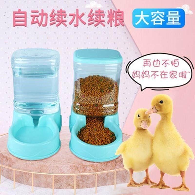 鸭子自动喂食器小鸭子鸡鹅吃饭碗盆宠物柯尔鸭食槽喂食喂水器