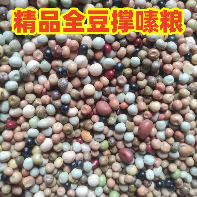 全豆鸽粮职业蛋白转换粮鸽子撑嗉粮多用种豆混装鸽粮信鸽赛鸽专用