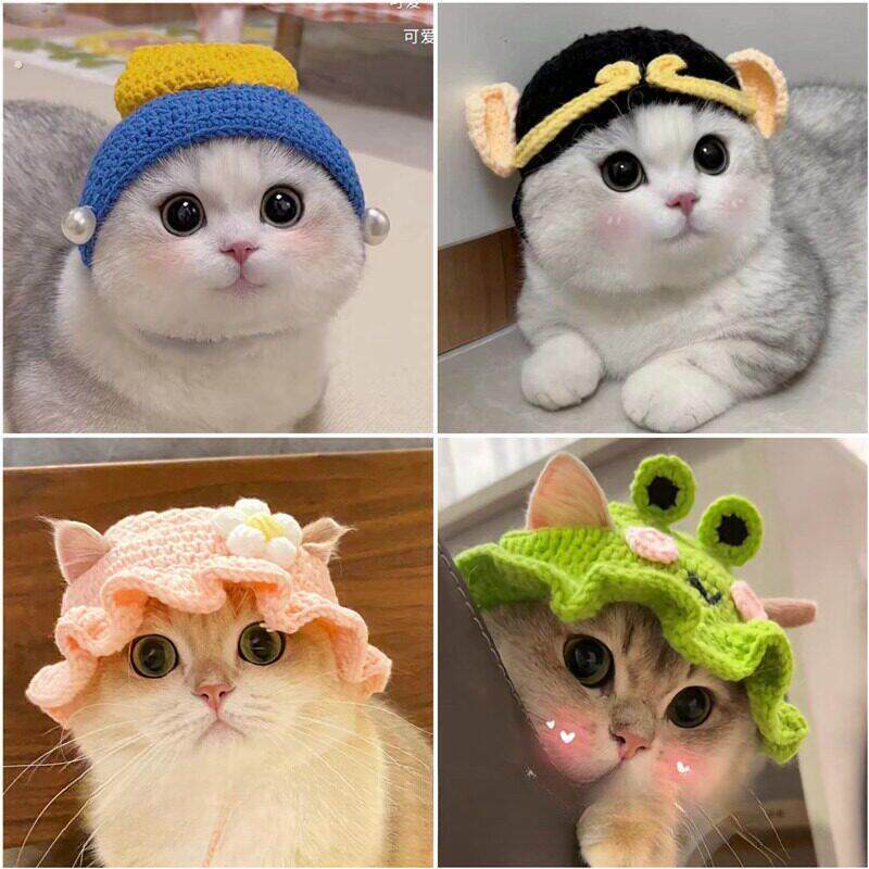 宠物假发卖萌搞怪头套浏海小辫子猫咪狗狗法斗抖音小红书同款假发