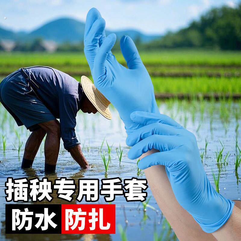 稻田插秧专用手套神器防水防扎下田工作劳动干活防刺耐用种植采茶