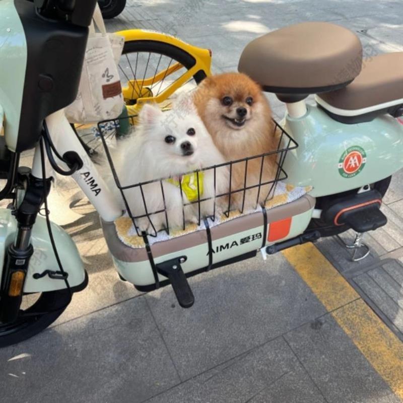 电动车带狗狗神器机车宠物滑板车筐可携式透气载狗骑行防掉踏厂家