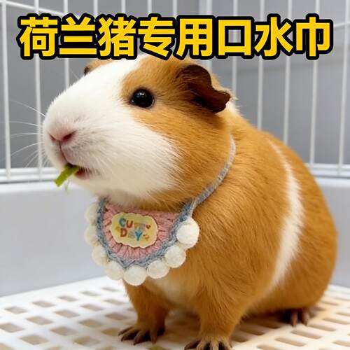 荷兰猪专用口水巾佩戴装扮仓鼠豚鼠围脖围兜宠物拍照用品可爱配饰