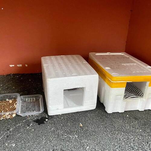 泡沫箱子猫窝流浪猫泡沫箱室外防水防晒保温防潮加厚猫窝四季通用
