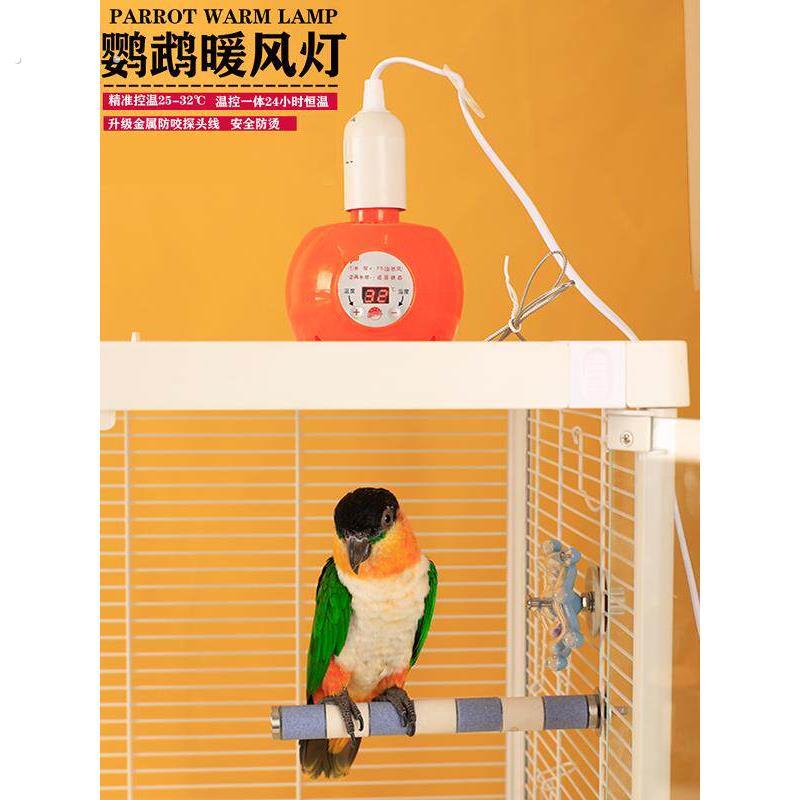 温控鹦鹉用保温灯宠物取暖器智能恒温加热暖风机取暖灯保温箱配件