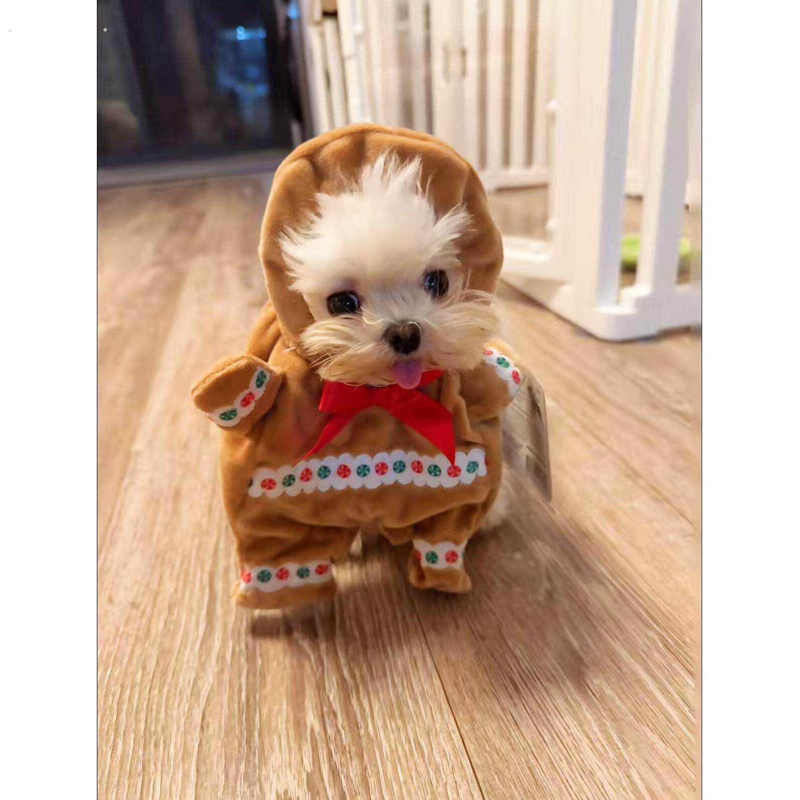 姜饼人狗狗衣服耶诞宠物趣味变装秀直立服小型犬创意拍照服装道具
