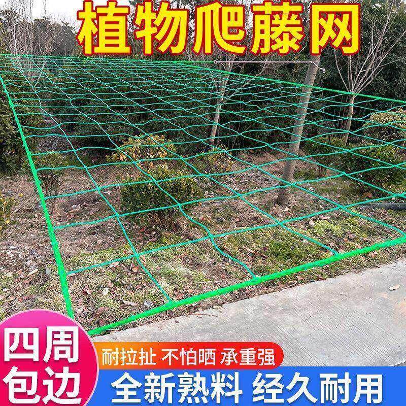 好物速发植物百香果爬藤网攀爬网瓜蒌葡萄丝瓜吊瓜豆角网黄瓜种植