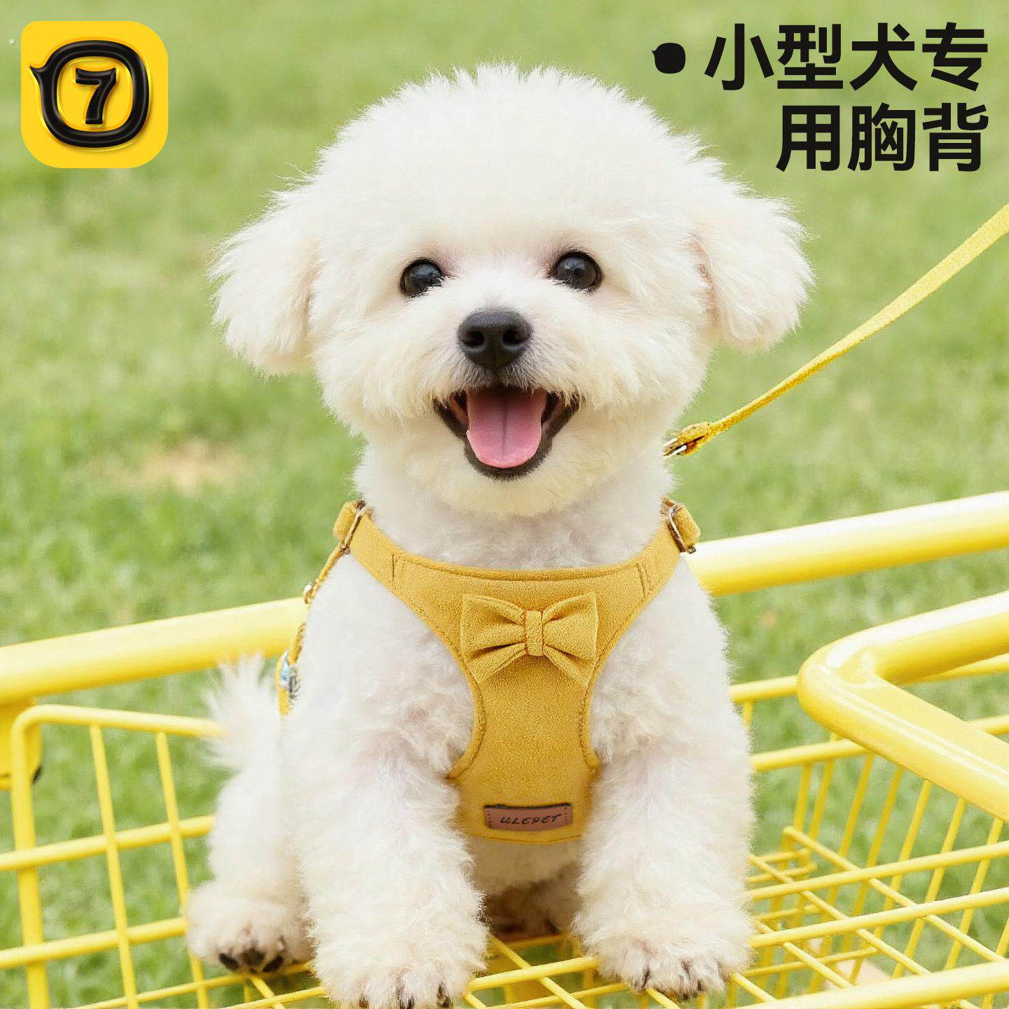 狗狗胸背牵引绳背心式小狗户外牵引绳三件套项圈猫咪小型犬狗绳