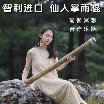 仙人掌雨棍雨声棒南美智利海浪拟声疗愈乐器冥想减压助睡眠