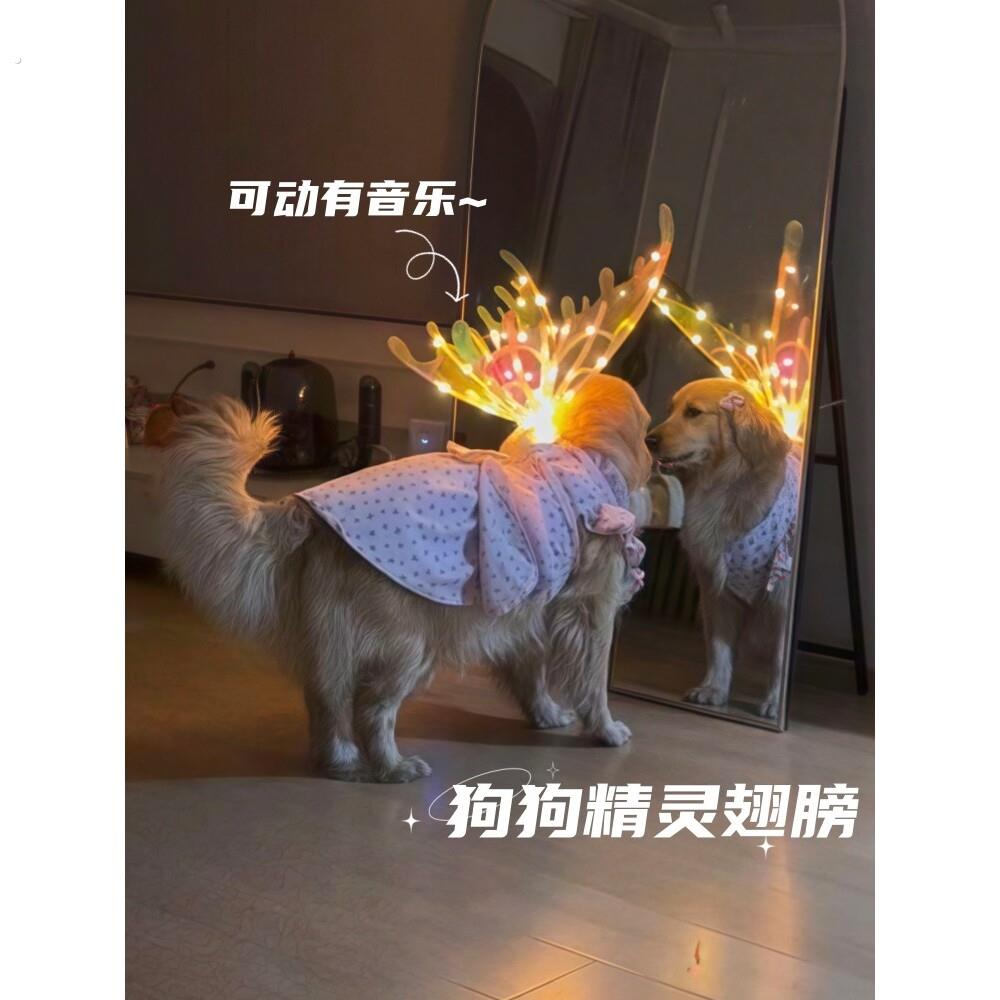 狗狗发光电动蝴蝶翅膀背饰可煽动带音物猫咪衣服拍照天使背带