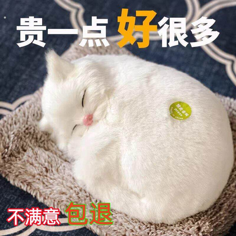 网红汽车摆件2026女生车内车内饰品除异味仿真动物毛绒车载猫咪狗
