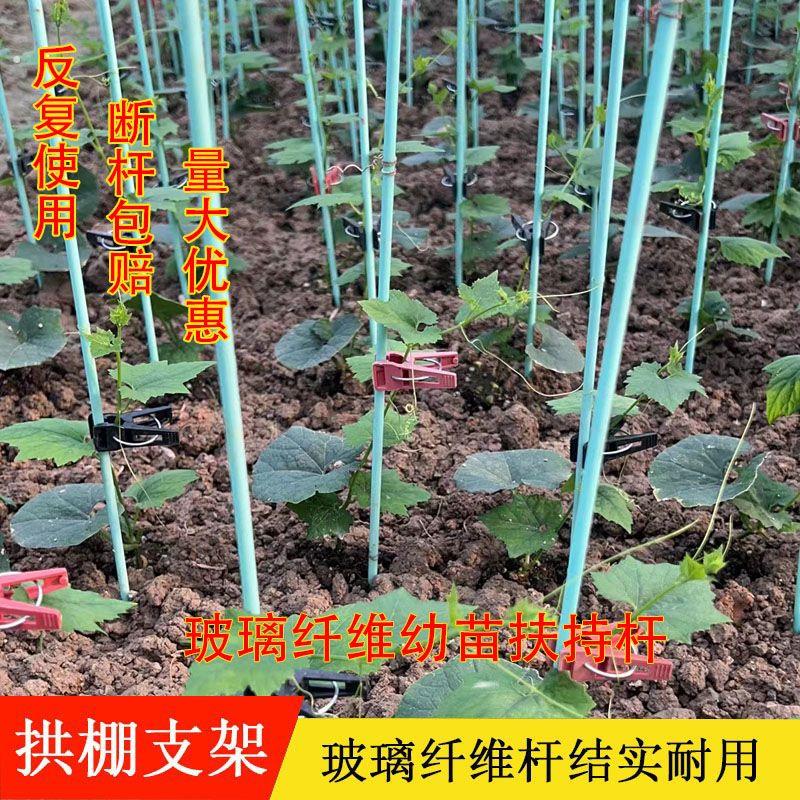 农用玻璃纤维杆辣椒支撑拱杆子四季豆角黄瓜果爬藤架小拱棚支架杆