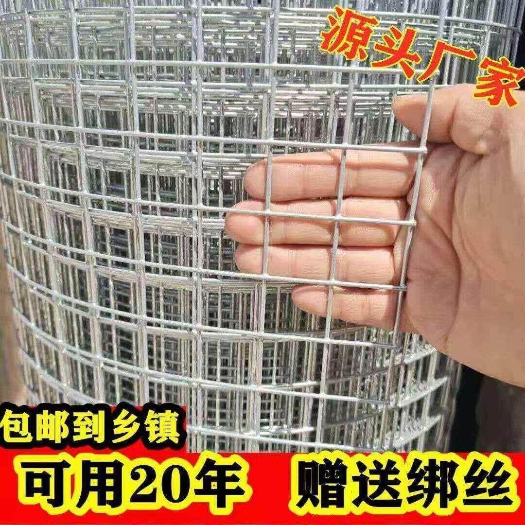 热浸镀锌铁丝网围栏网养殖网钢丝网拦鸡网建筑网防护网铁网格玉米