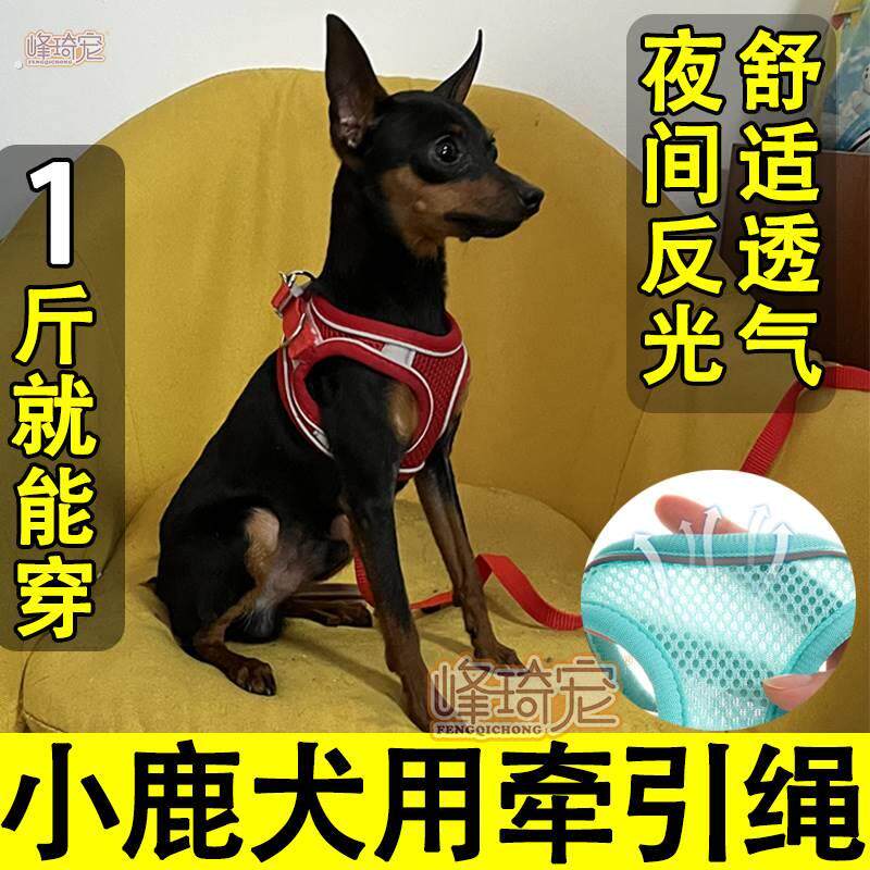 小鹿犬专用透气牵引绳背心式遛狗狗绳可调节胸背小型幼犬用品大全