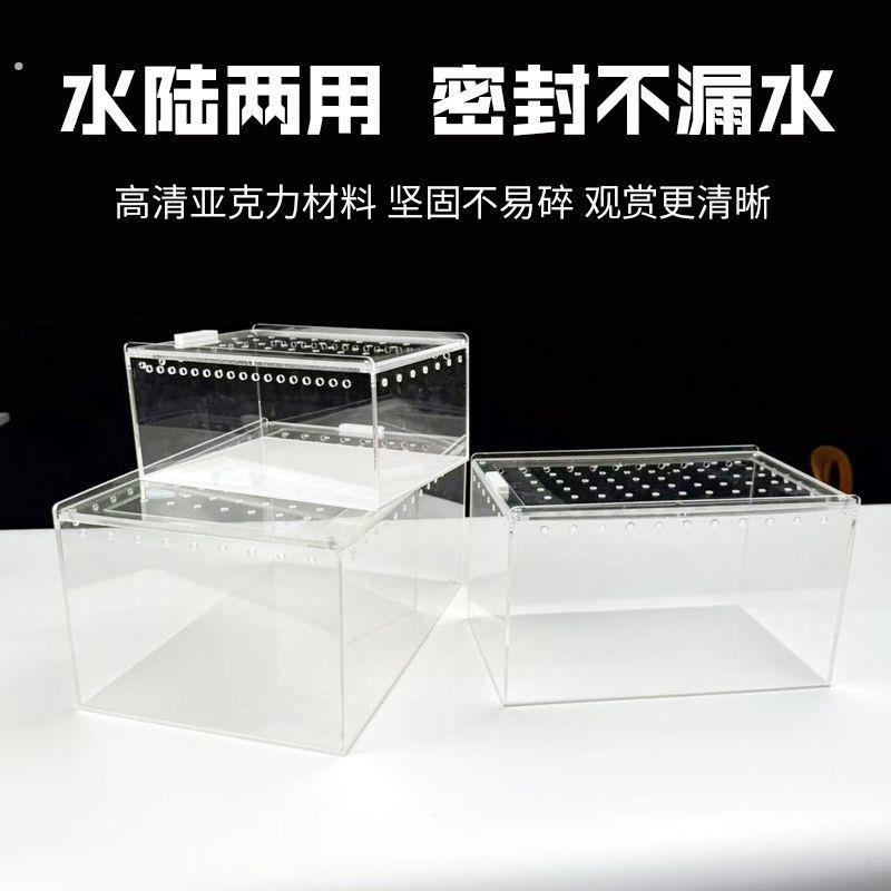 爬虫压克力爬宠箱小型饲养盒蜘蛛蜥蜴蝎甲虫造景饲养箱高透观赏盒