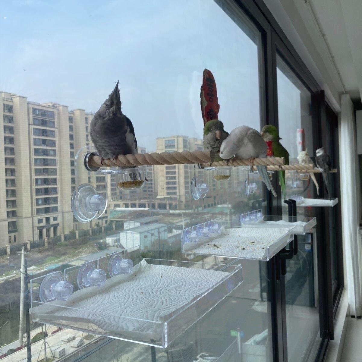 工厂好物牡丹玄凤鹦鹉空中站架缤纷游乐场鸟用彩色亚克力吸盘站杆