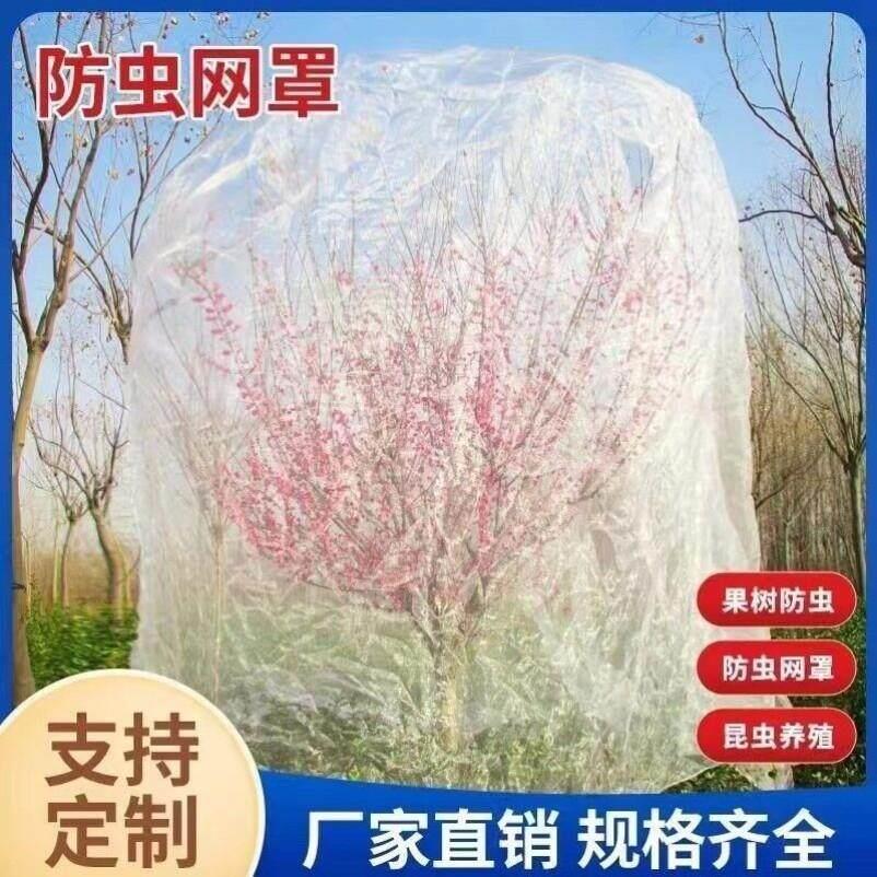果果园防虫网纱网大树棚杨梅樱桃莲雾蓝莓蔬菜农用网罩网套