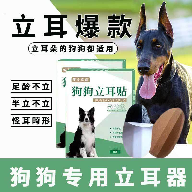 自粘柯基土狗耳朵马犬杜宾边境牧羊犬小狗柴犬立耳立耳神器狗狗立