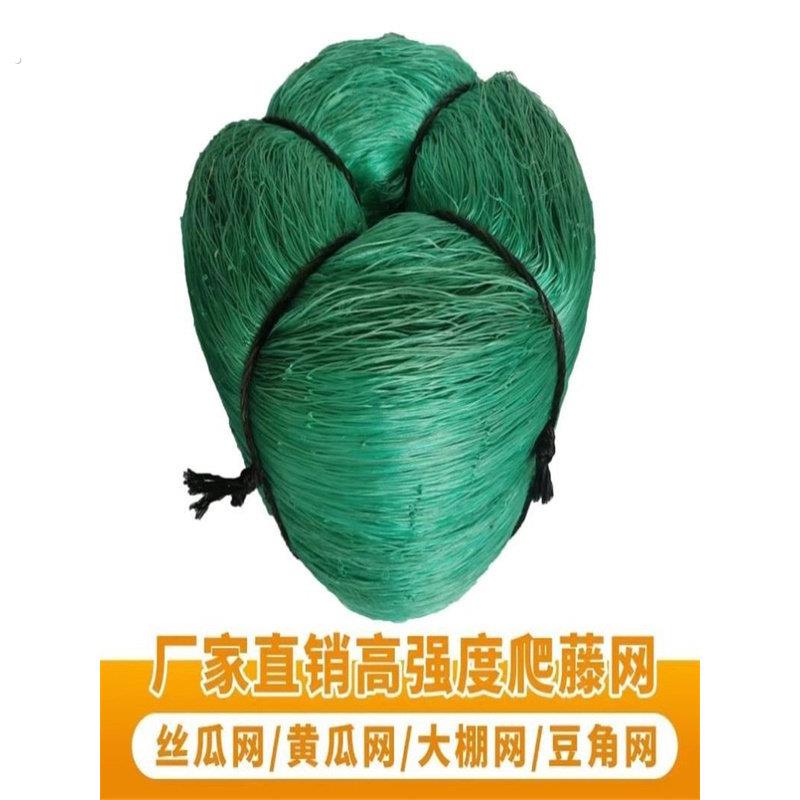 葡萄架爬藤网罗汉果百香果搭架专用网苦瓜丝瓜植物攀爬藤蔓网豆角