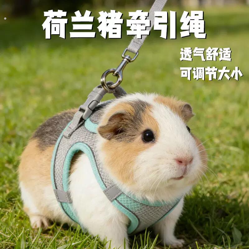 荷兰猪牵引绳专用透气可调节迷你豚鼠外出牵引防挣脱神器宠物用品
